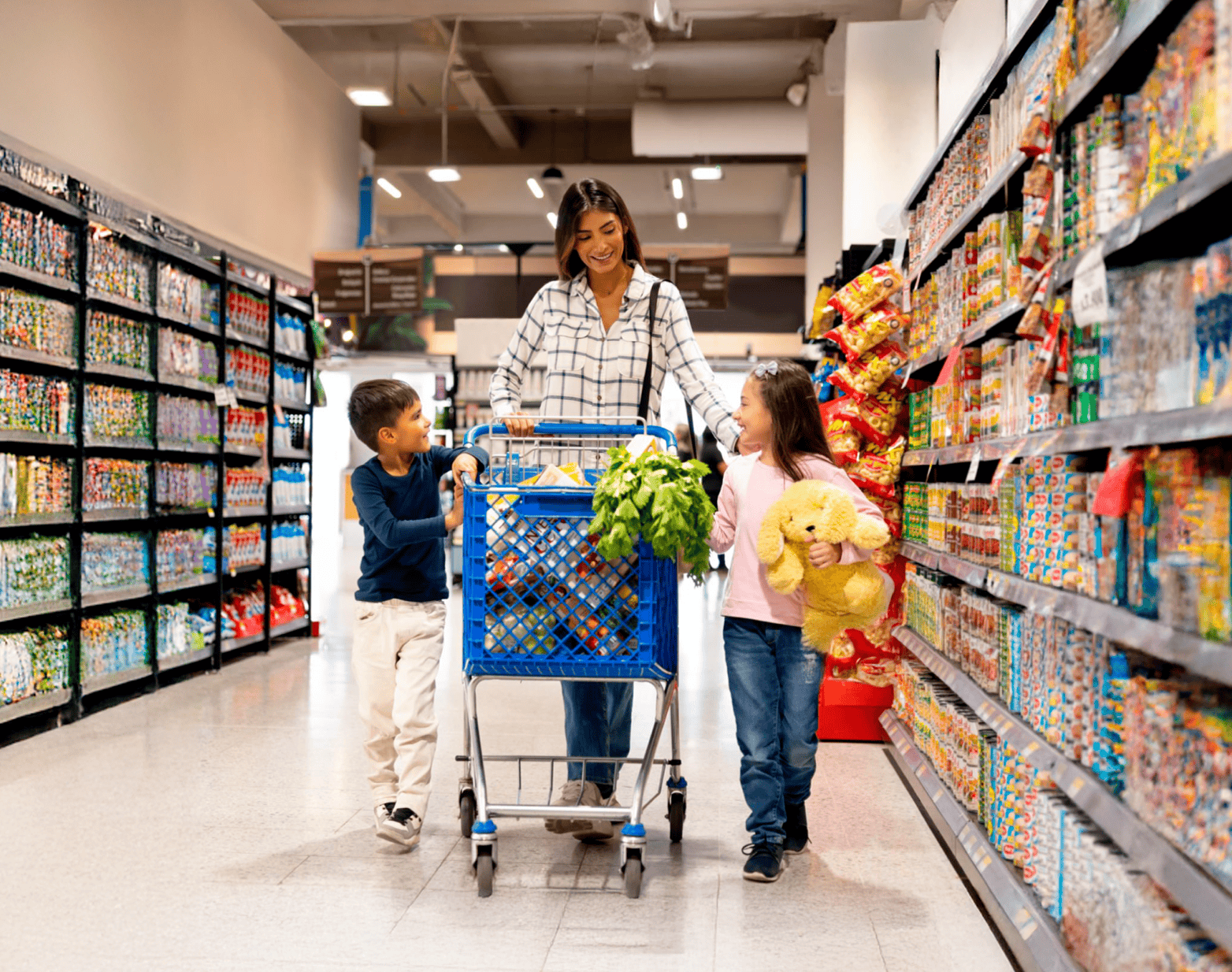 grocery family